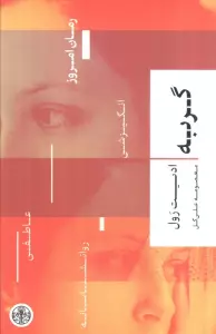 گربه